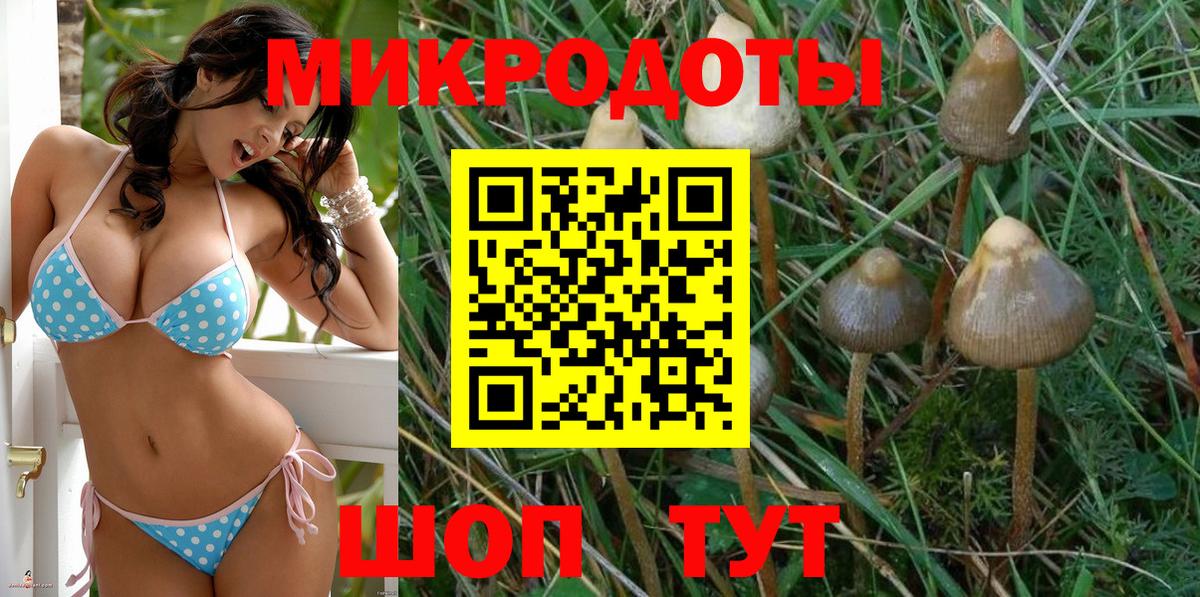 Комсомольск-на-Амуре  продажа наркотиков  Вход с VPN  Псилоцибиновые грибы Psilocybe 
